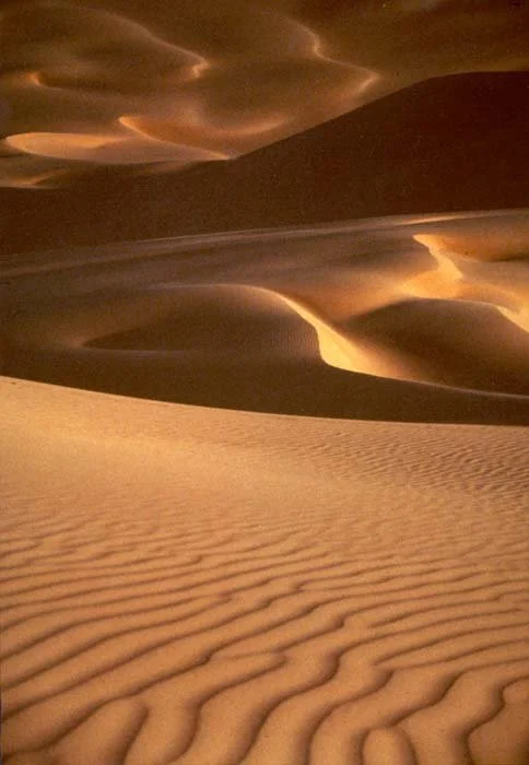 christiana-fineart.com_Dune4-1.jpg