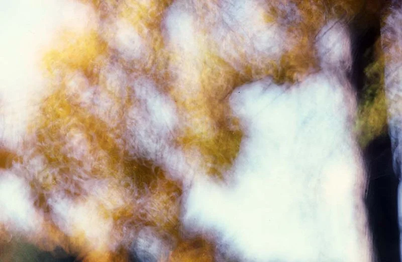 Autumn-Abstractions_christiana-fineart.com-02.jpg