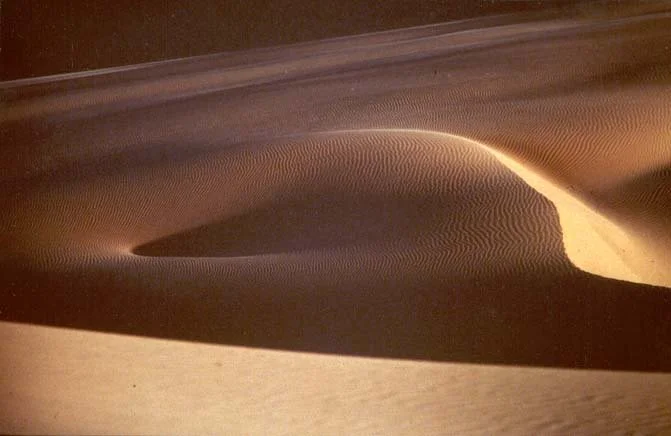 christiana-fineart.com_Dune5-1.jpg