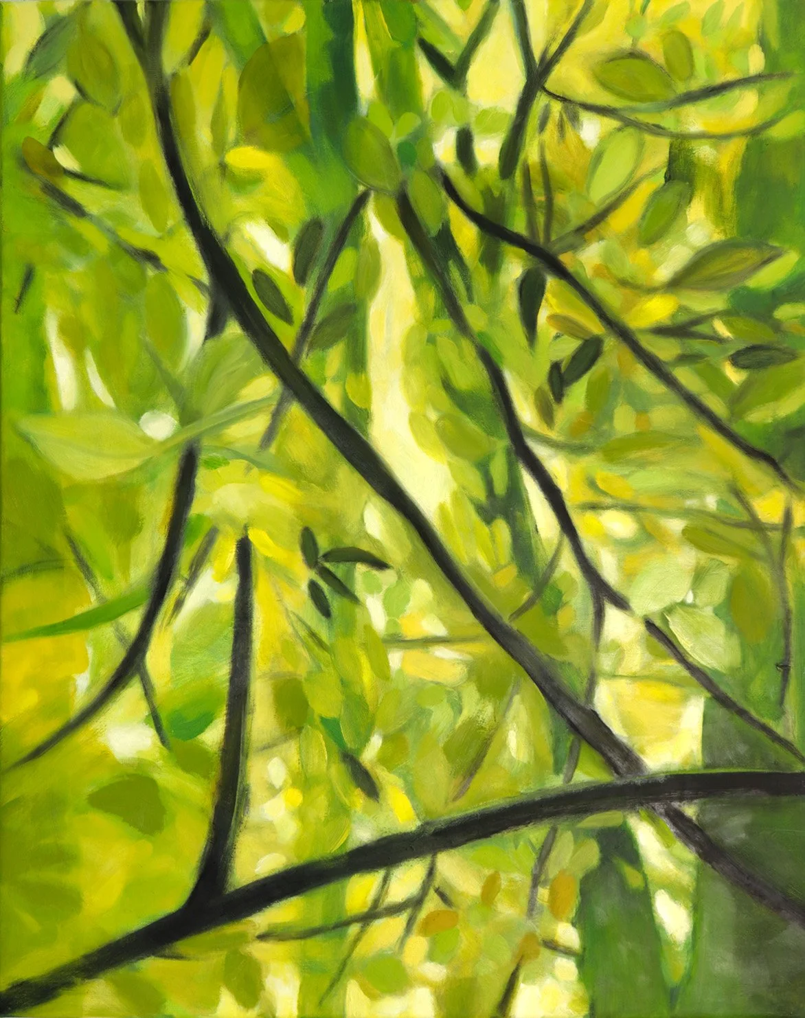 PoeTree | Dreamy Tree Tops 13 © CS