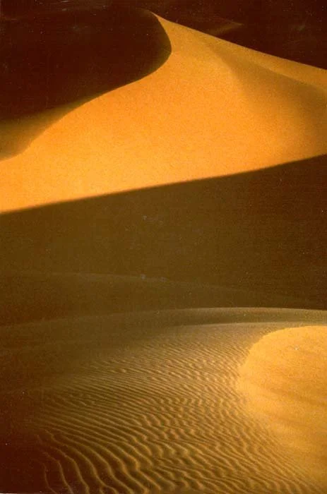 christiana-fineart.com_Dune6-1.jpg