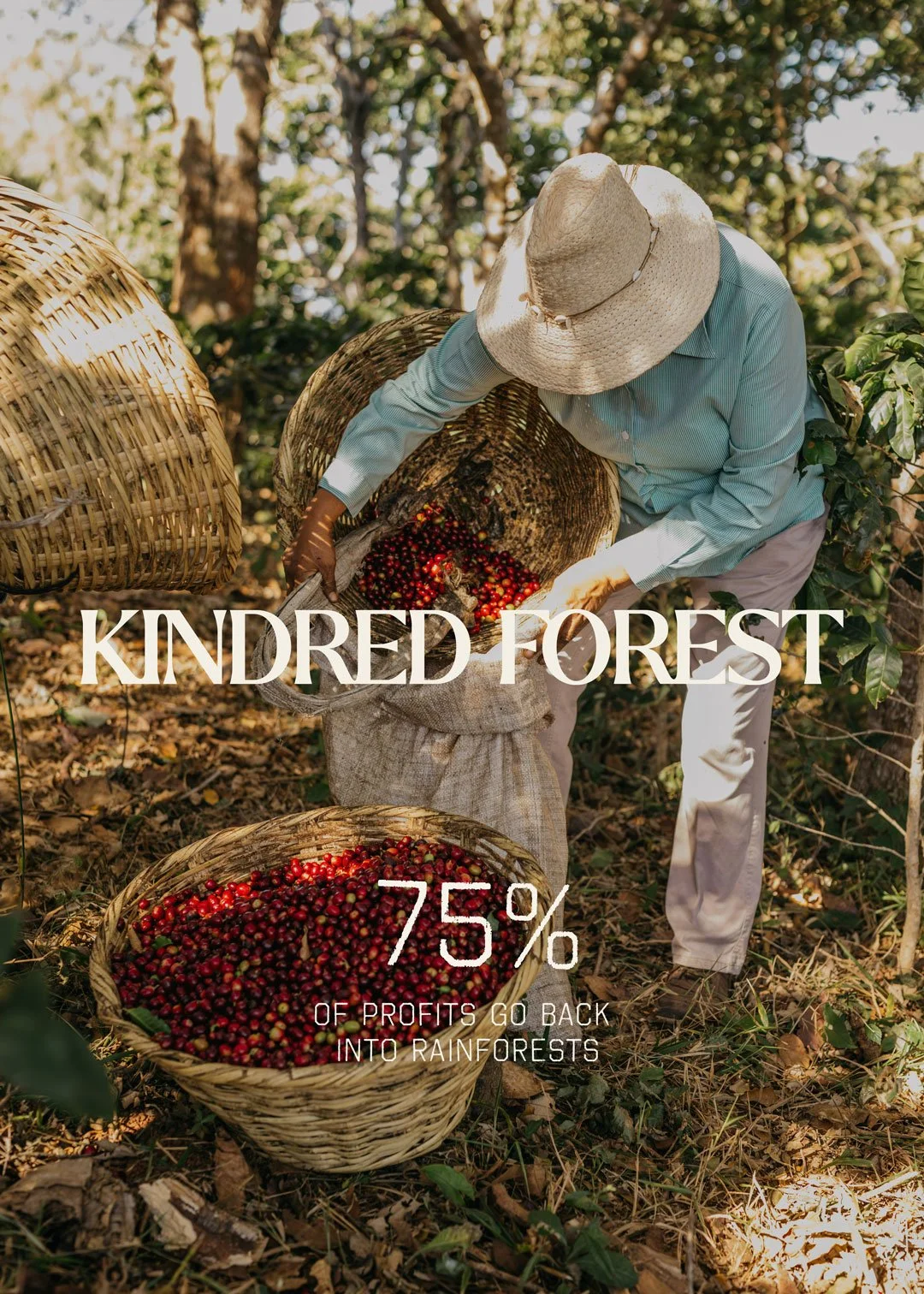 kindred forest brand logo and photography of coffee farmer