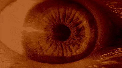 small clip of a ski film called endorphin by manon loschi