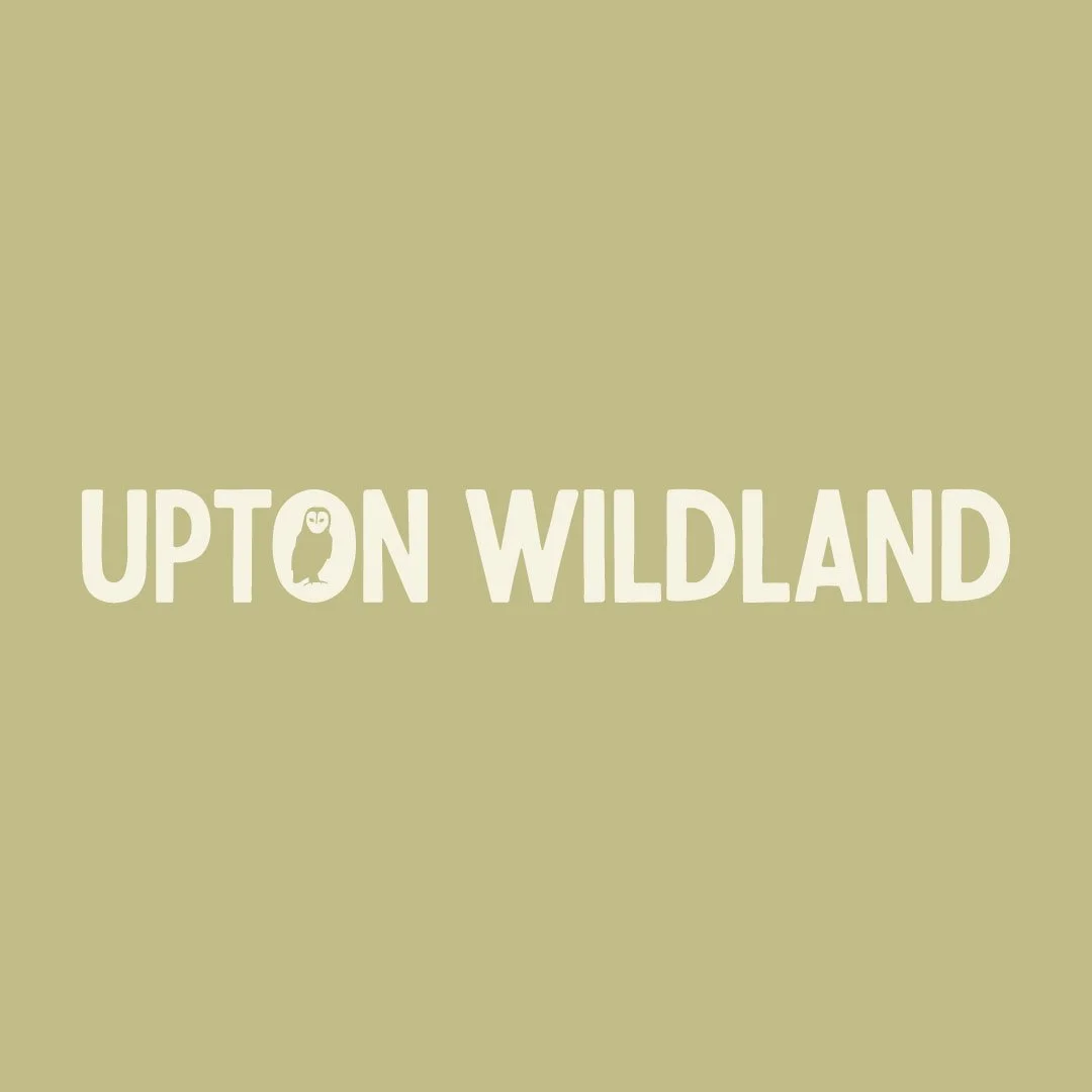 upton wildland rewilding project logo design