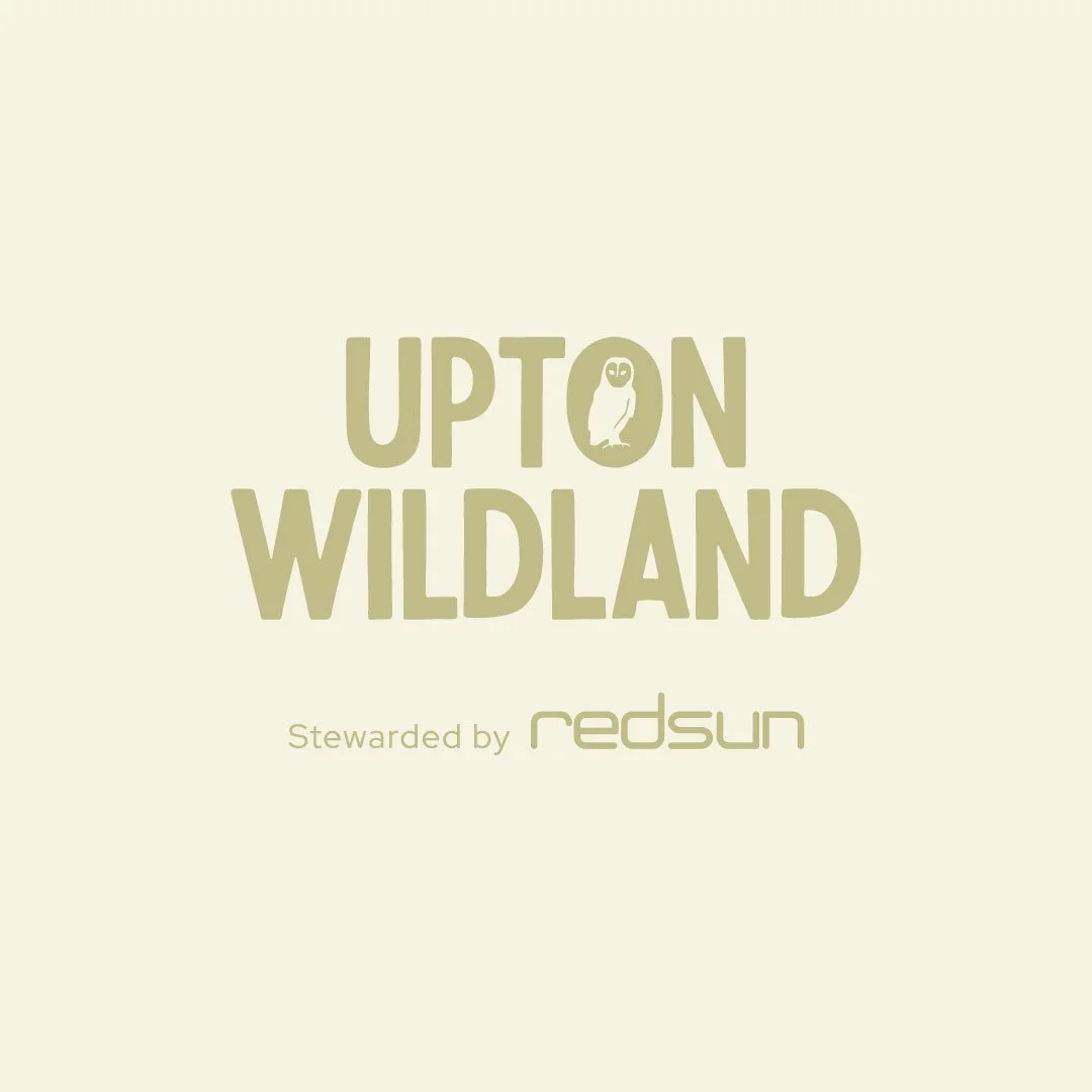 upton wildland rewilding project logo design