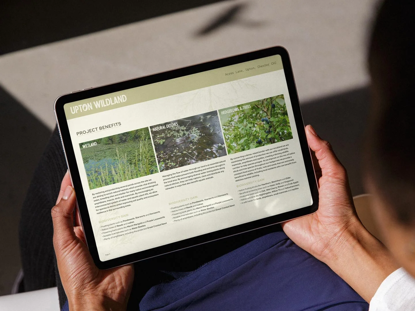 Upton-Wildland-Website-Design-1.jpg
