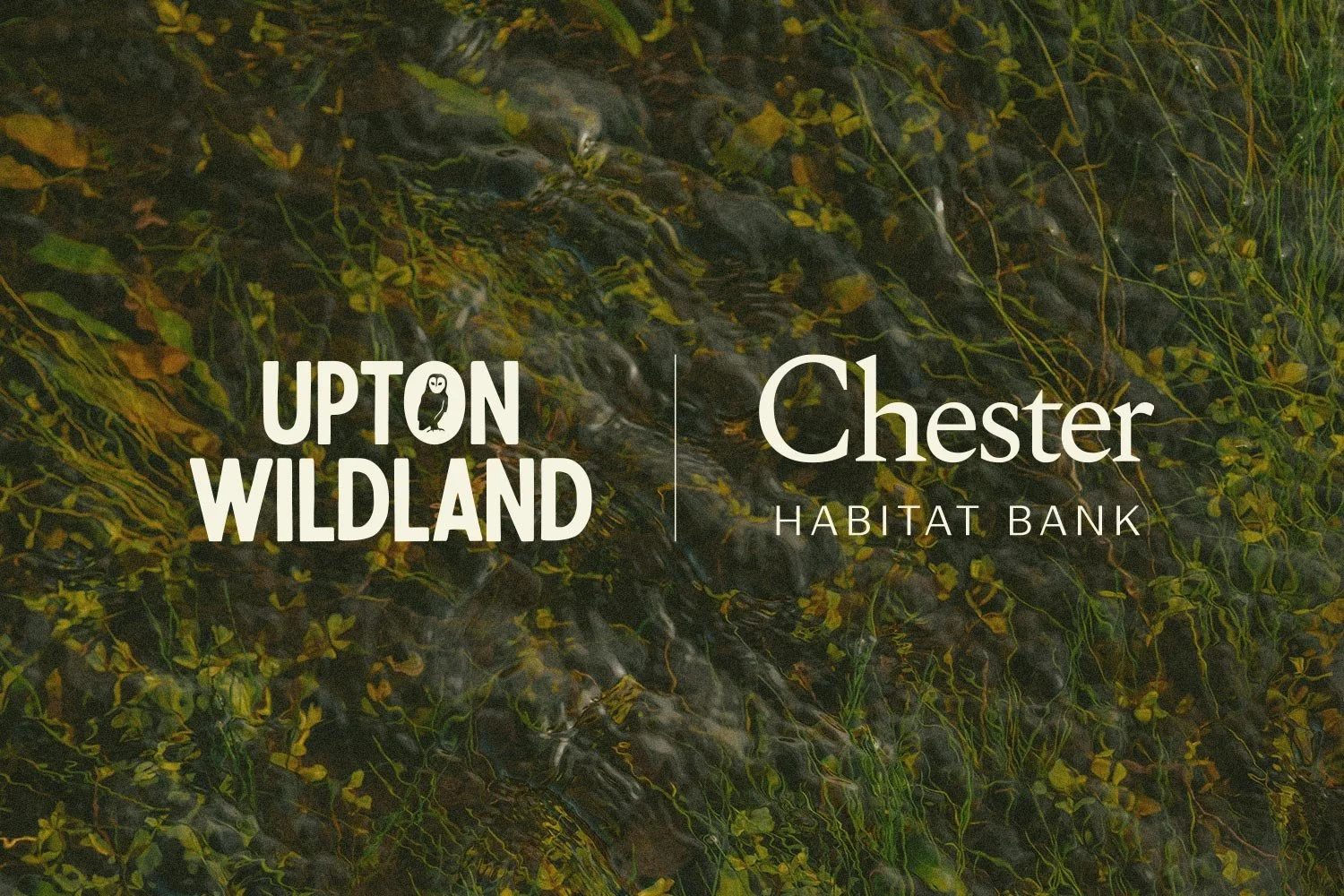 upton wildland logo on natural pond texture