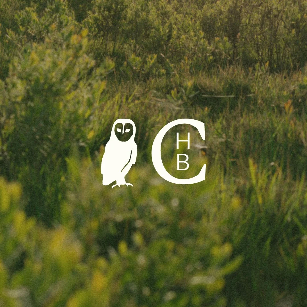 upton wildland rewilding project logo design