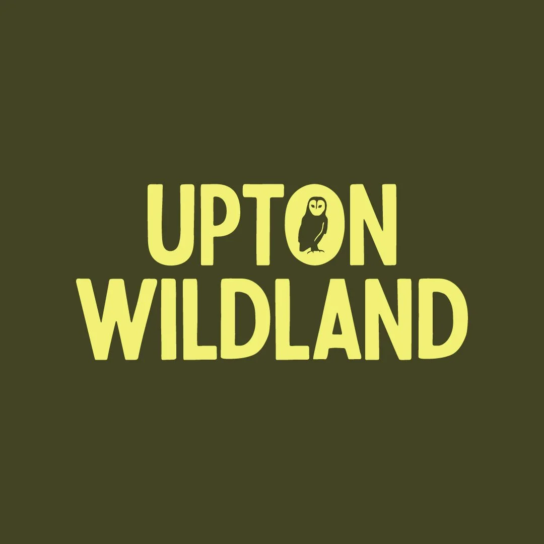 upton wildland rewilding project logo design