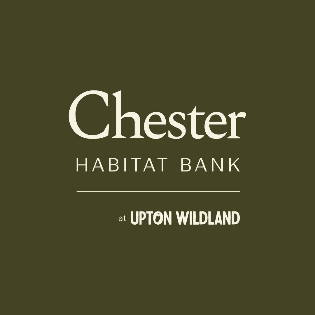 upton wildland rewilding project logo design