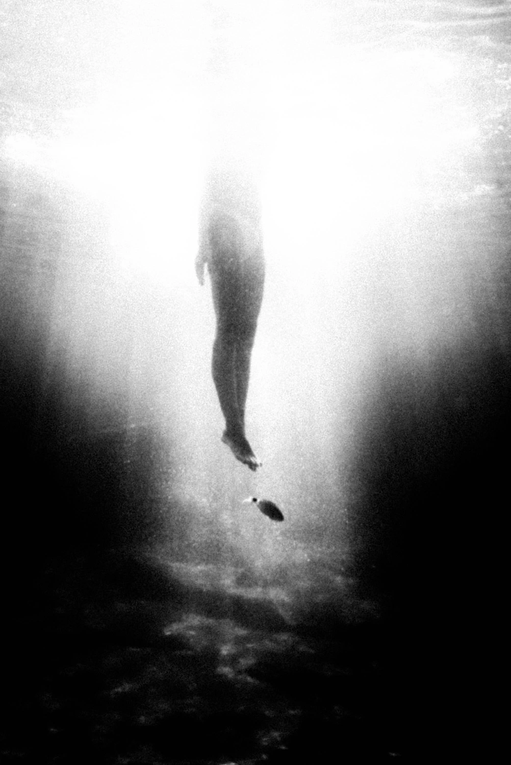 kefaloniti_underwater_rousounelos_24.jpg