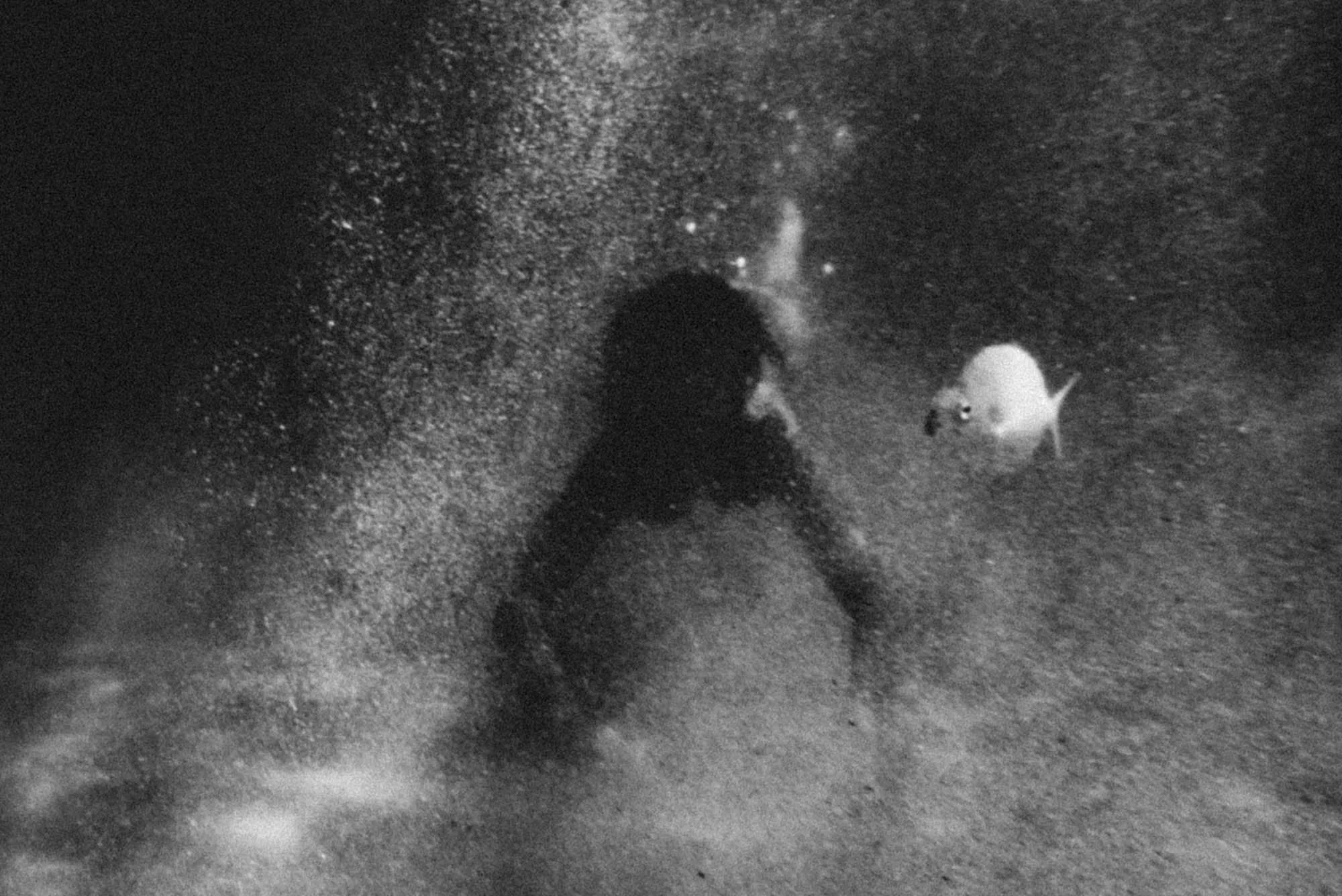 paradox underwater - yannis rousounelos -32.jpg