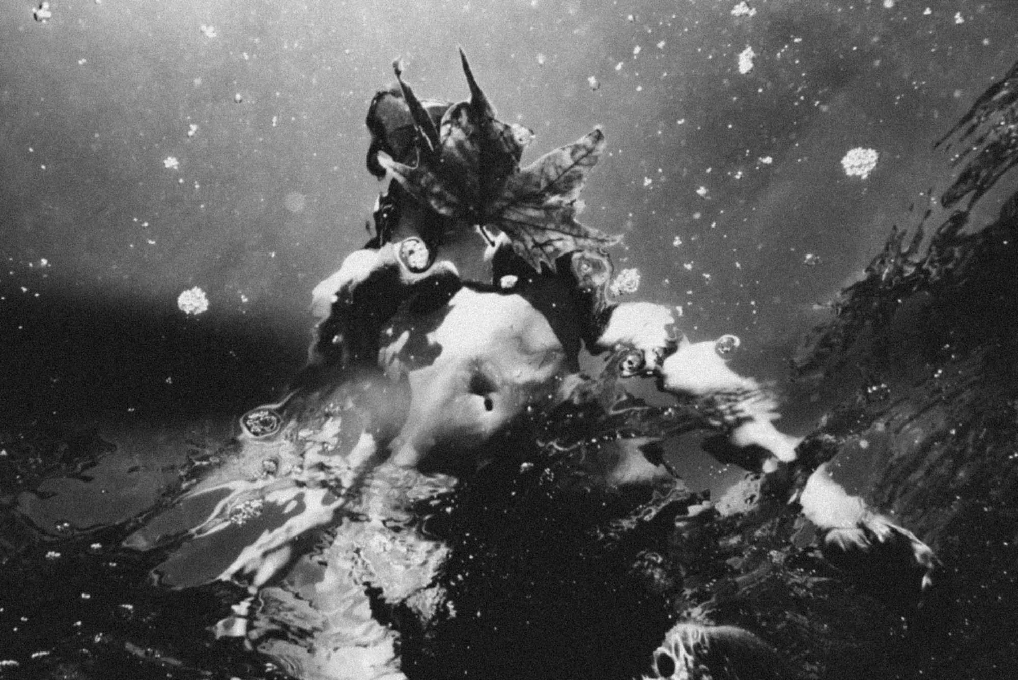 paradox underwater - yannis rousounelos -35.jpg