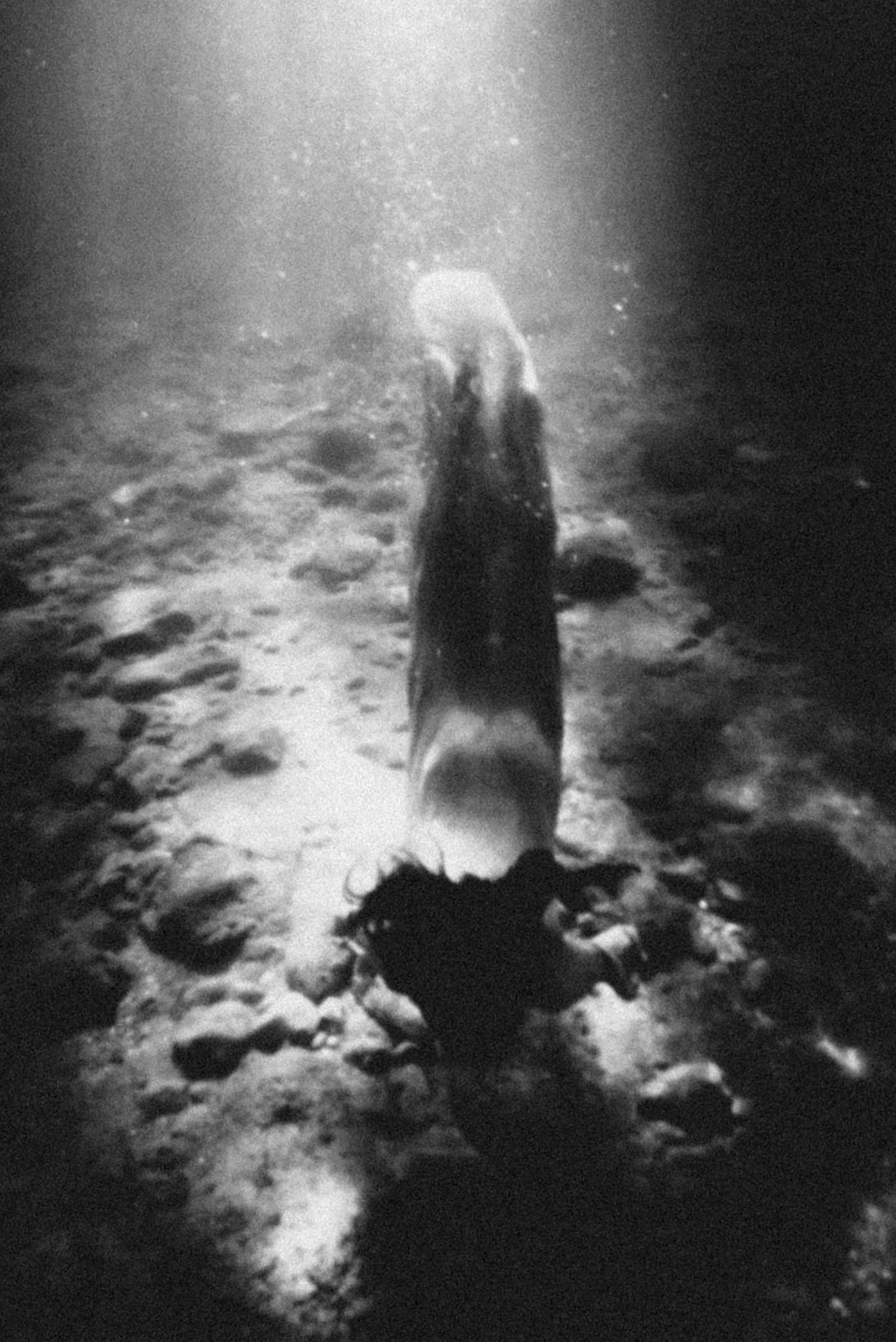 kefaloniti_underwater_rousounelos_02.jpg