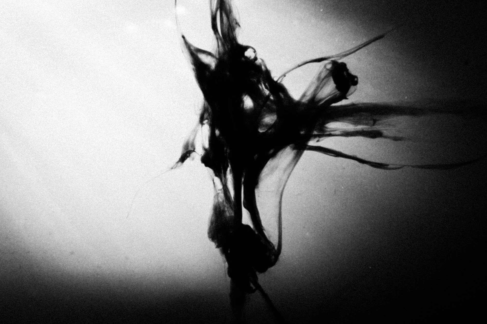 after life_underwater_rousounelos_46.jpg