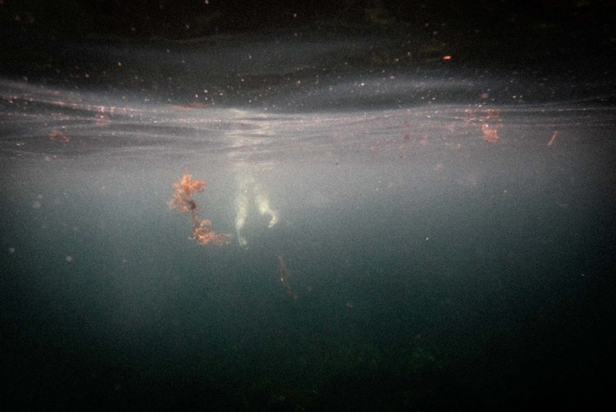 encounters underwater_rousounelos_40.jpg