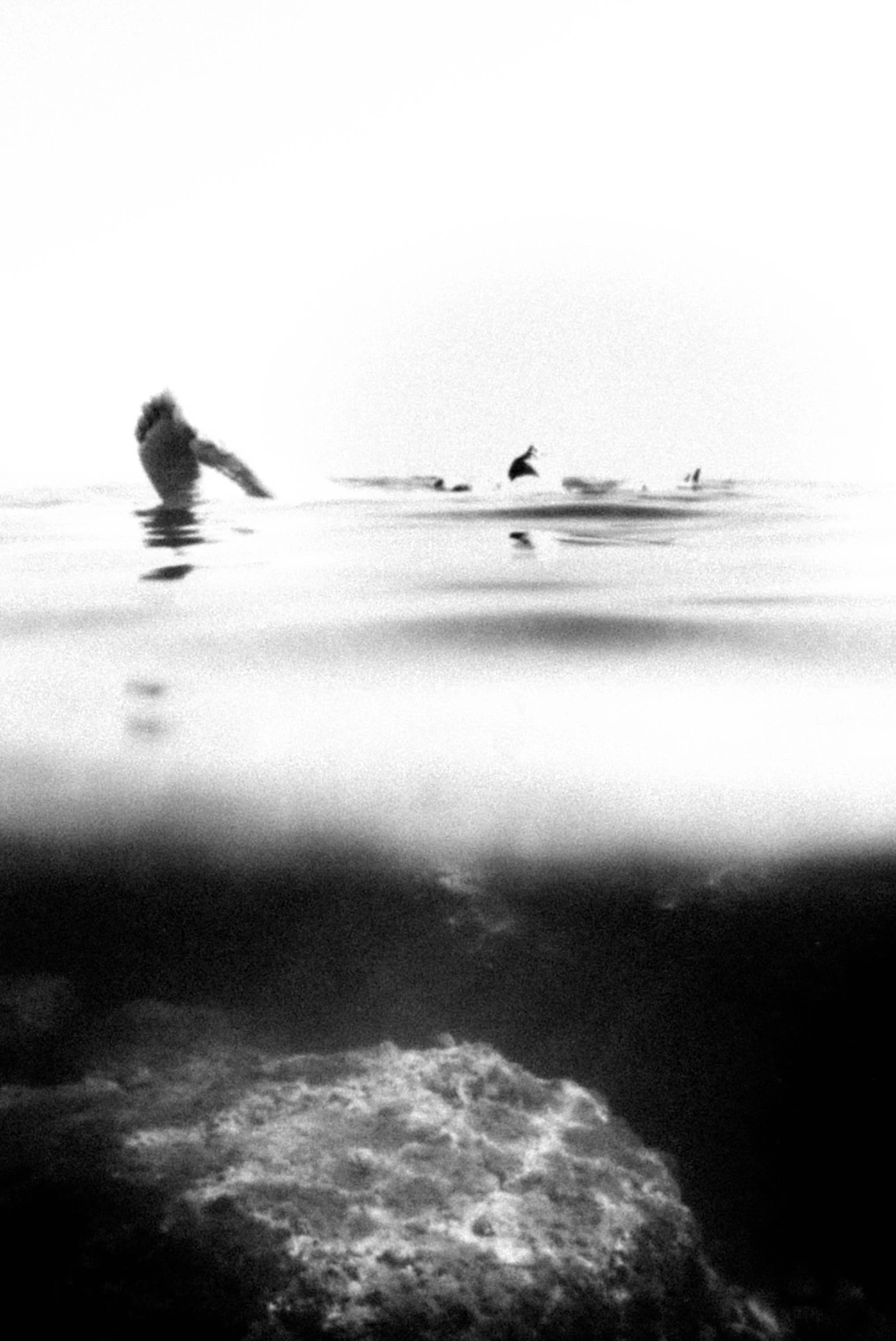 dora chrysikou_underwater_rousounelos_16.jpg