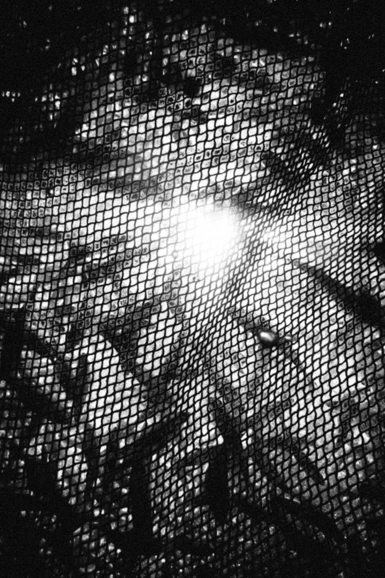 after life_underwater_rousounelos06.jpg