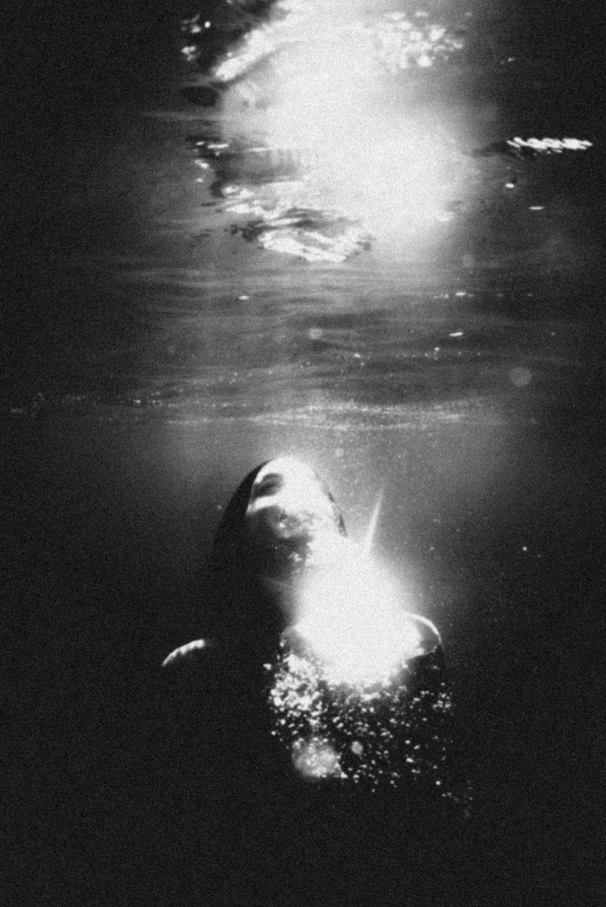 kefaloniti_underwater_rousounelos_04.jpg