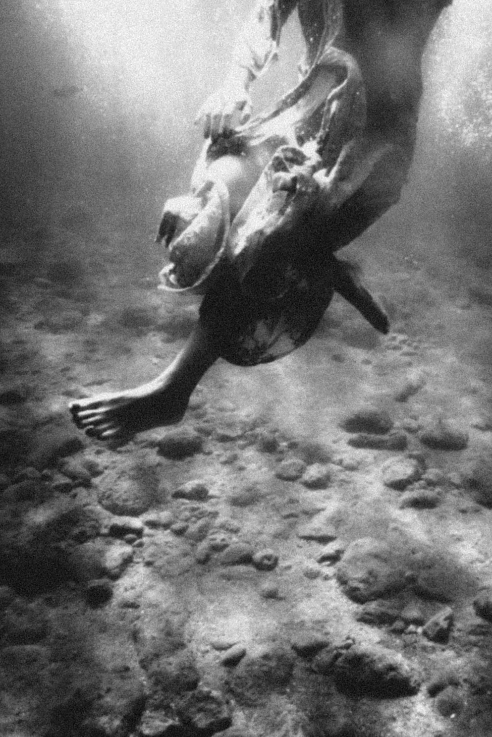 kefaloniti_underwater_rousounelos_06.jpg