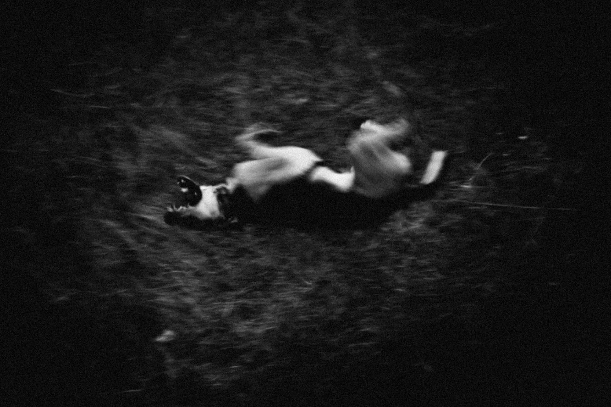 after life_underwater_rousounelos42.jpg