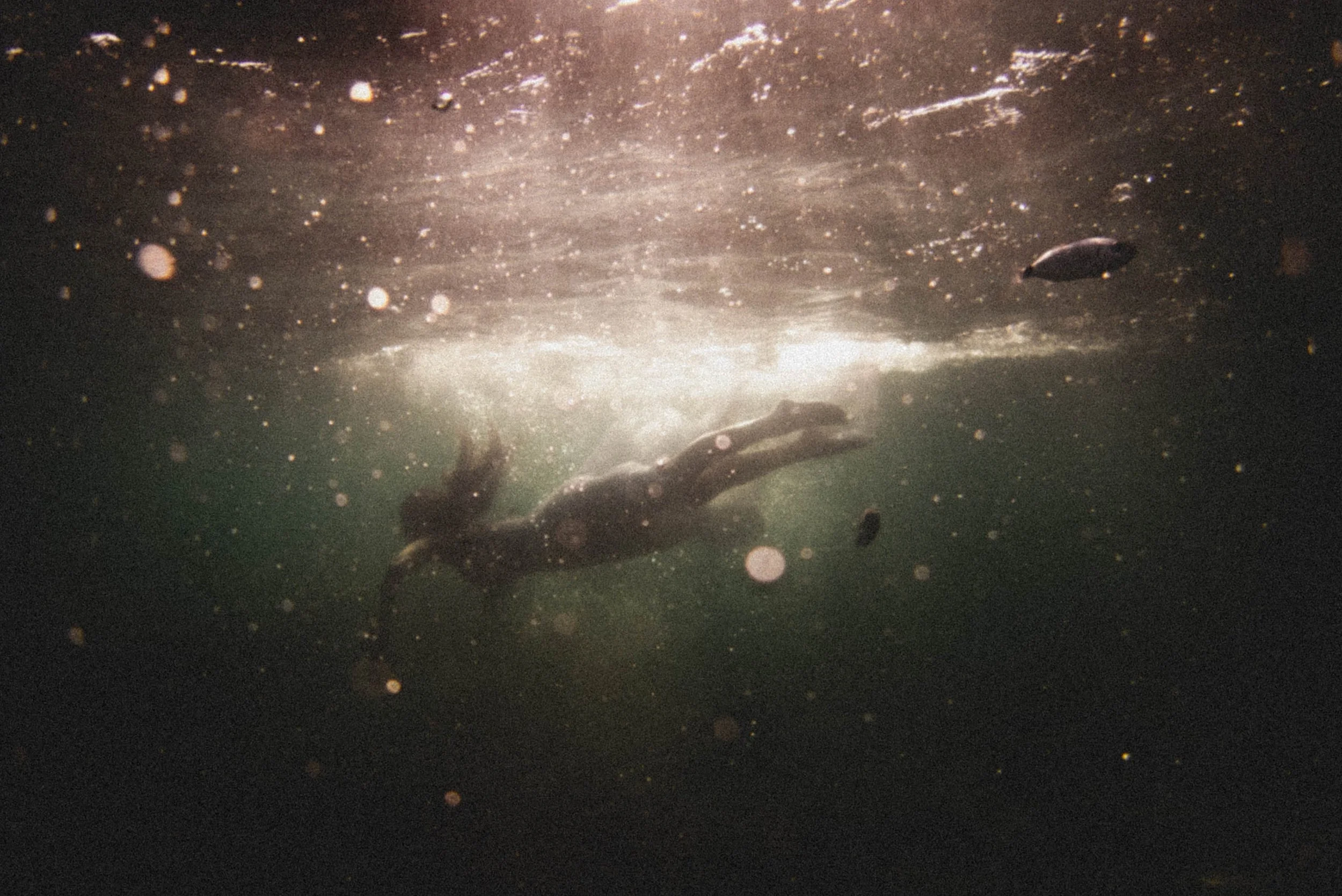 dora chrysikou_underwater_rousounelos_05.jpg