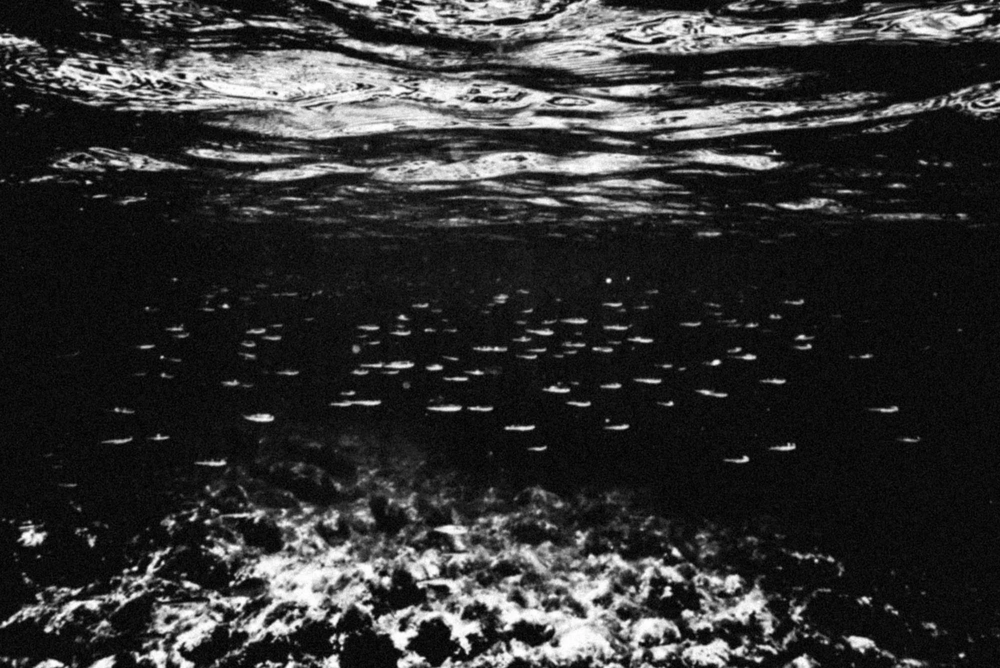 after life_underwater_rousounelos02.jpg
