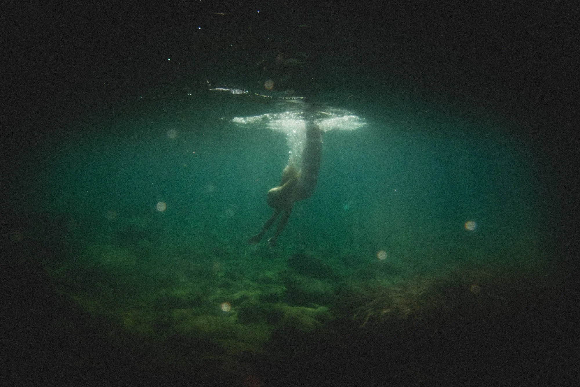 alikaki_underwater_rousounelos_03.jpg