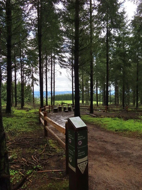 April 17 at Chehalem Ridge Nature Park