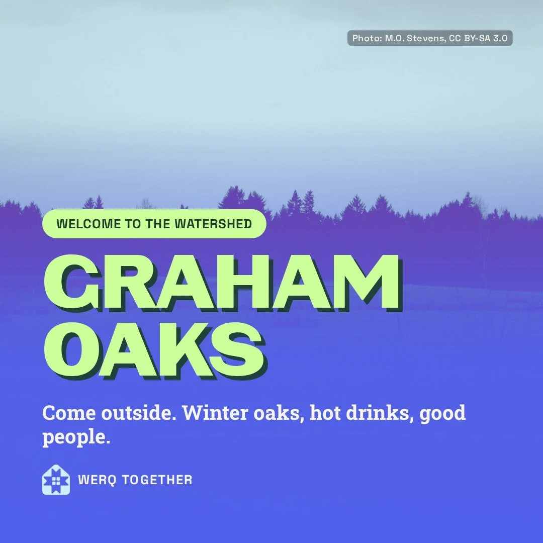 Welcome to the Watershed: Graham Oaks