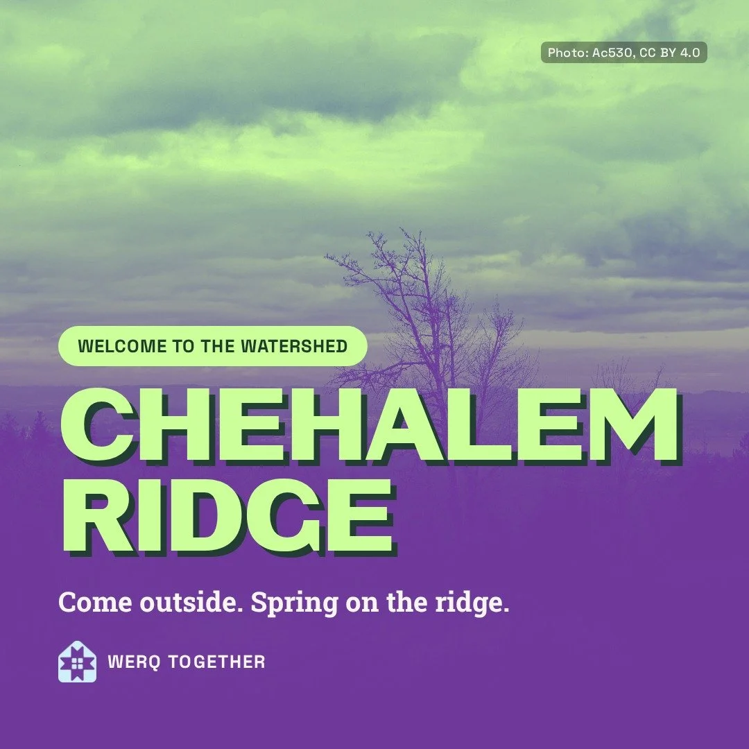 Welcome to the Watershed: Chehalem Ridge