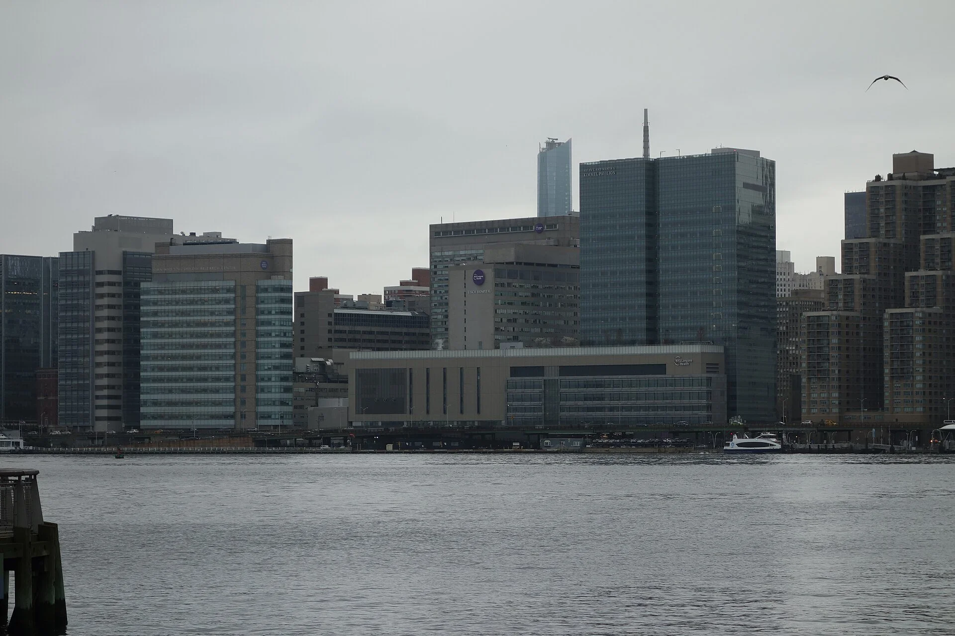 The NYU Langone Health campus on Manhattan's East Side, a cluster of hospital buildings along the East River under a gray sky.