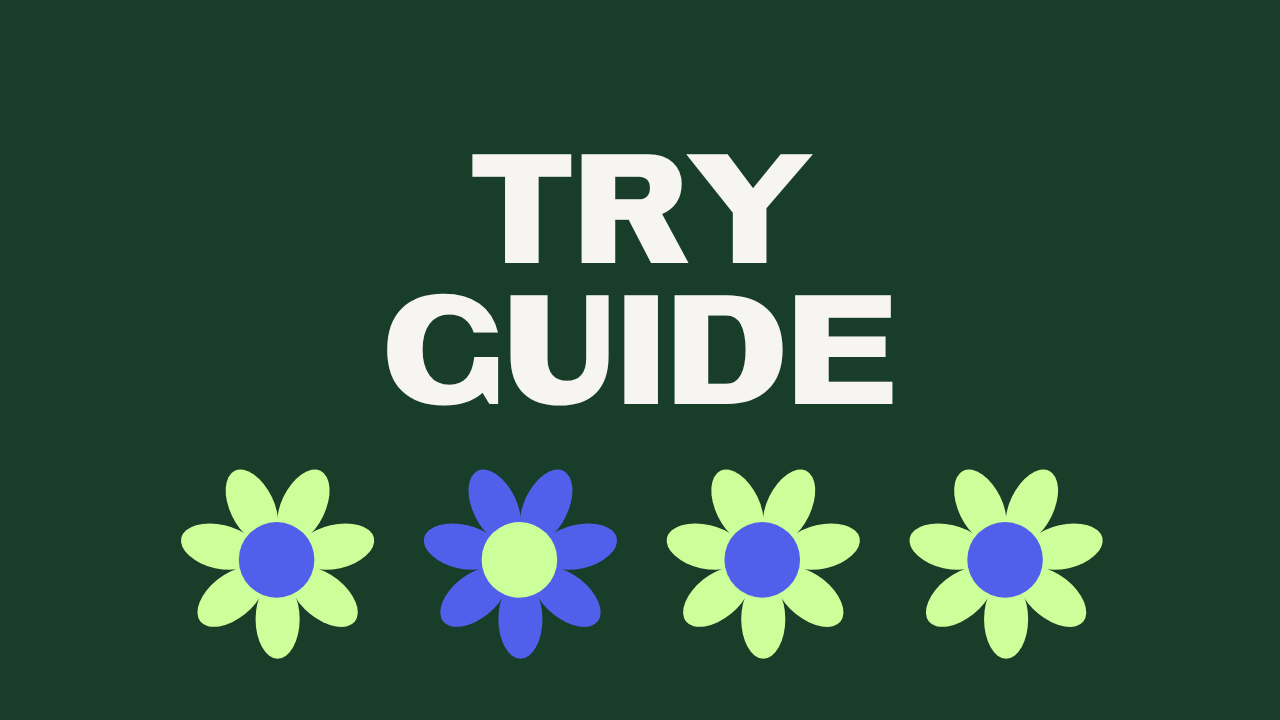 Try Guide. Bold white letters on a forest green background above a row of lime and periwinkle daisies.