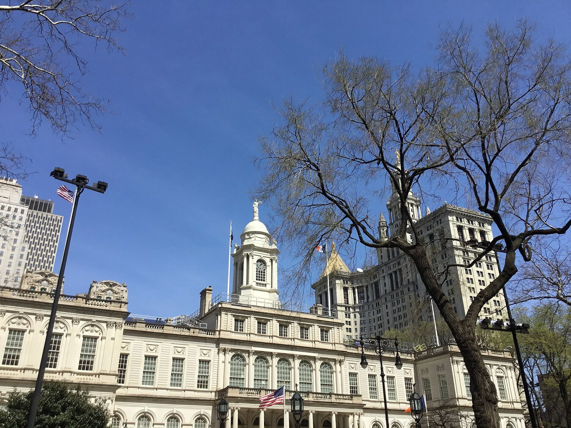 New York City Hall, a white stone building with a domed cupola and an American flag, framed by bare tree branches and Manhattan towers under a blue sky.