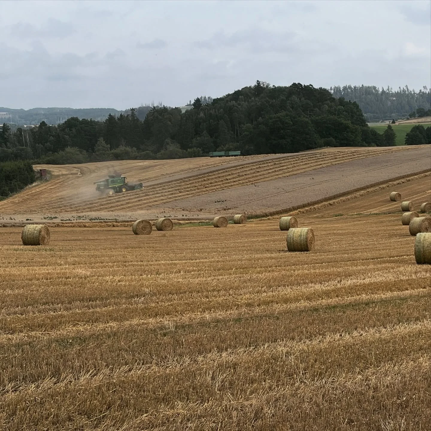 Hoch und runter. Da bleibt man munter. Auch beim gr&ouml;&szlig;ten Schlag. #landwirtschaft #agrar #th&uuml;ringen #landwirt #ernte #ernte2025 #weizen