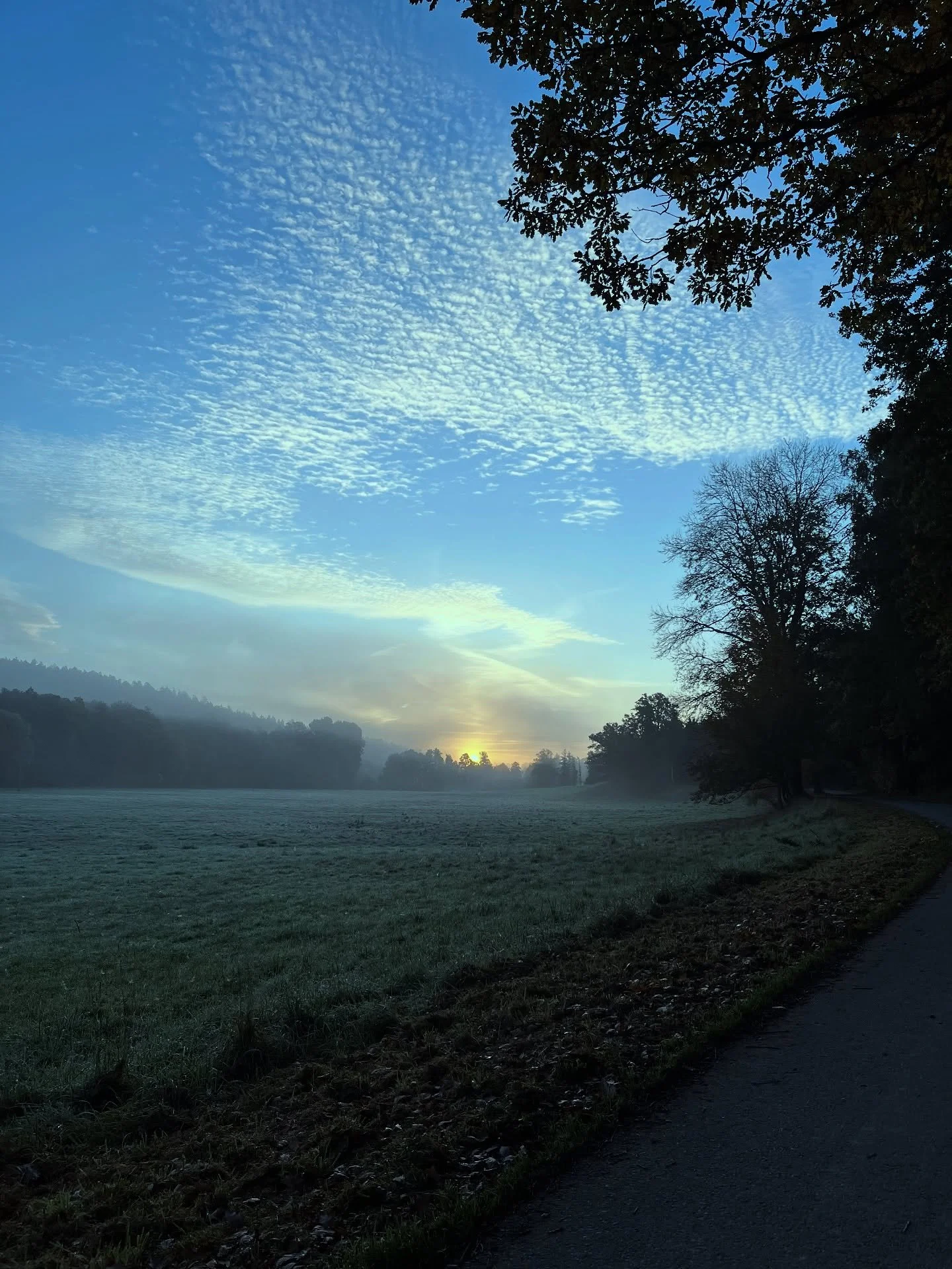Jetzt wird&rsquo;s kalt. Kein Grund nicht auf dem Feld zu sein.Bei solchen Sonnenaufg&auml;ngen aber kein Problem! Der letzte Mais wird geh&auml;ckselt. Und der letzte Weizen ges&auml;t. #landwirt #herbst #agrar #landwirtschaft #th&uuml;ringen