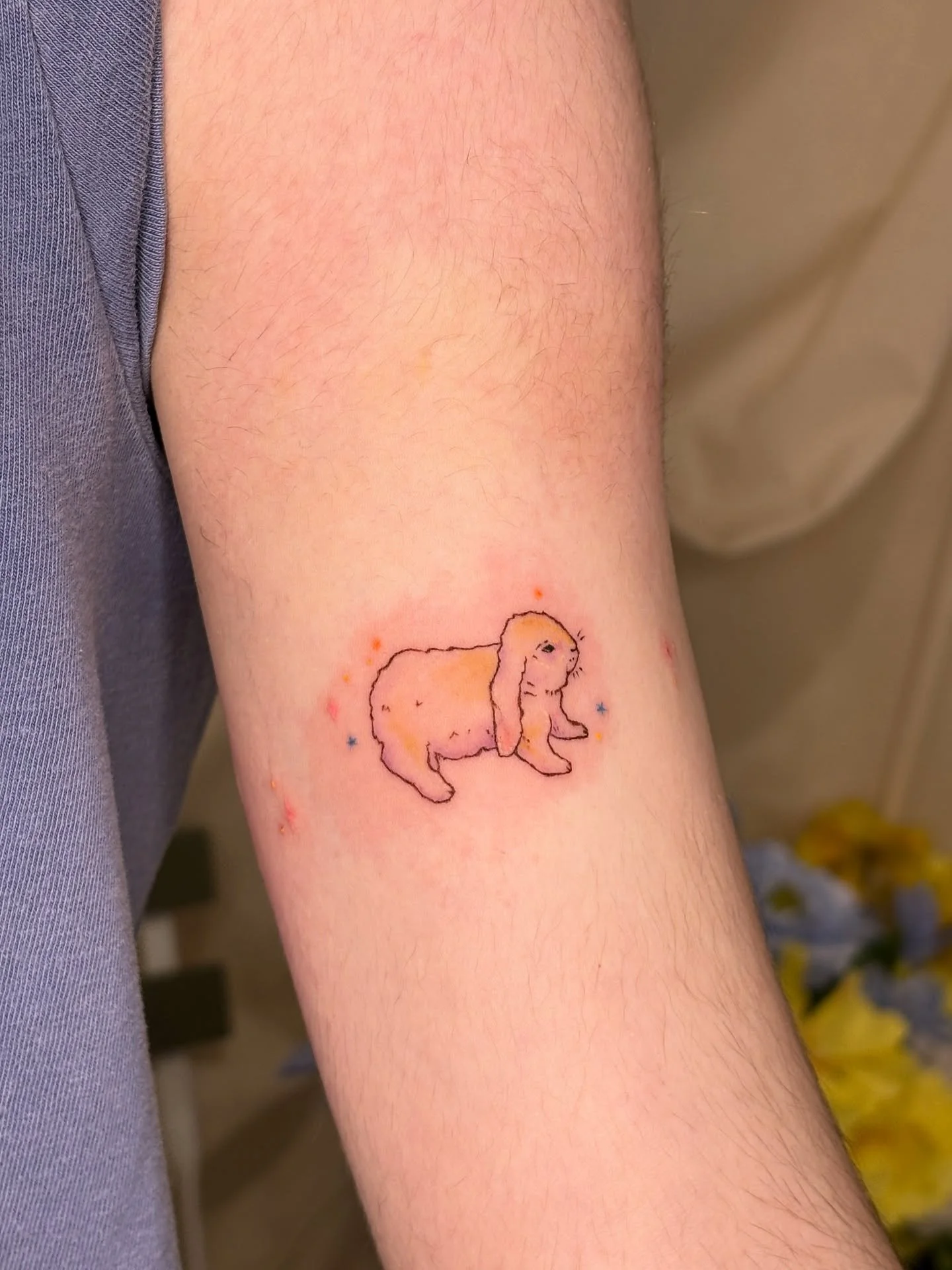 some cute colour and smaller pieces I did in Sept! love as always trying out different styles and thank you so much for the trust with these cuties :))

I am currently interstate visiting family so won&rsquo;t be putting new tattoos on my stories for
