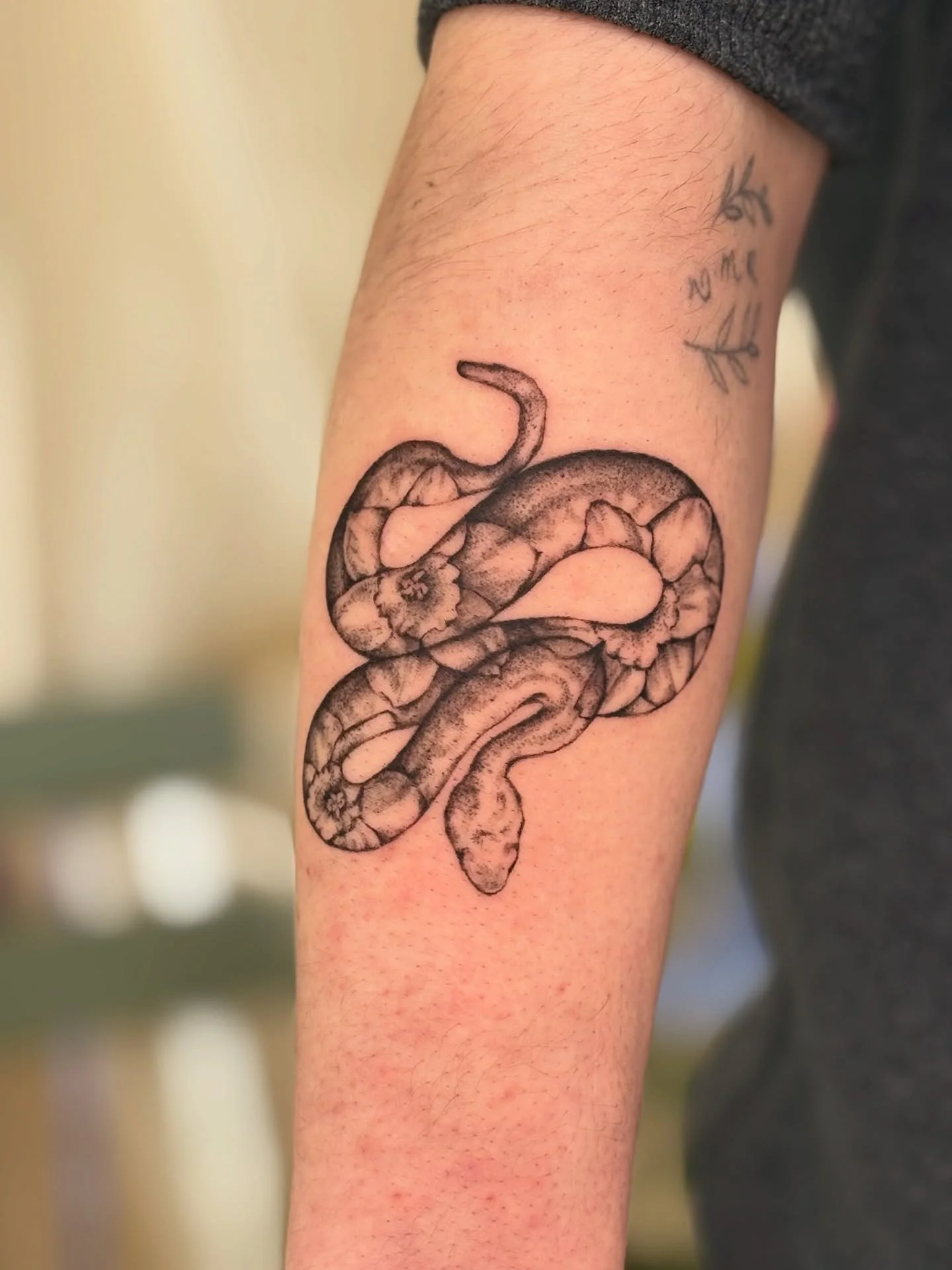 stipple snake and daffodils and an illustrative albatross wrapping the leg! 

thank you for all the beautiful custom requests :)

#melbournetattoo