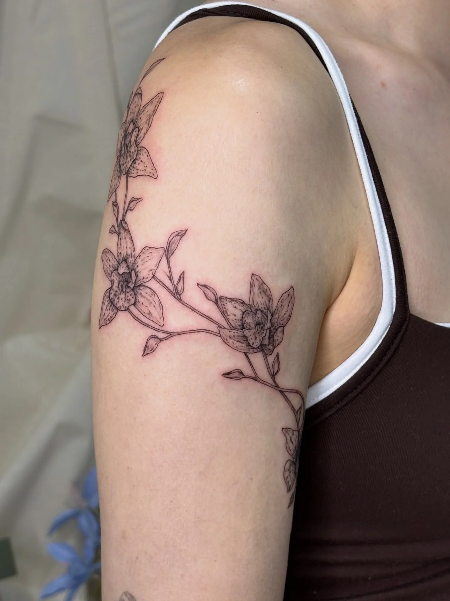 had the loveliest time designing this illustrative orchid arm piece and here is a million photos of me trying to get all the angles 🙈 thank you so much! 

#melbournetattoo #orchidtattoo #shouldertattoo