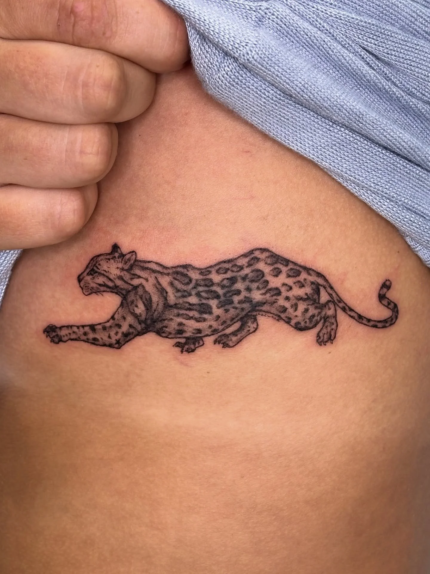 updating the feed with an ocelot and a vase coverup, plus some messy illustrative coffees and cute frames!

I&rsquo;ve had a couple of people reach out in my DMs asking about bookings&mdash;shall be opening my books on Monday!! I&rsquo;ve been down w