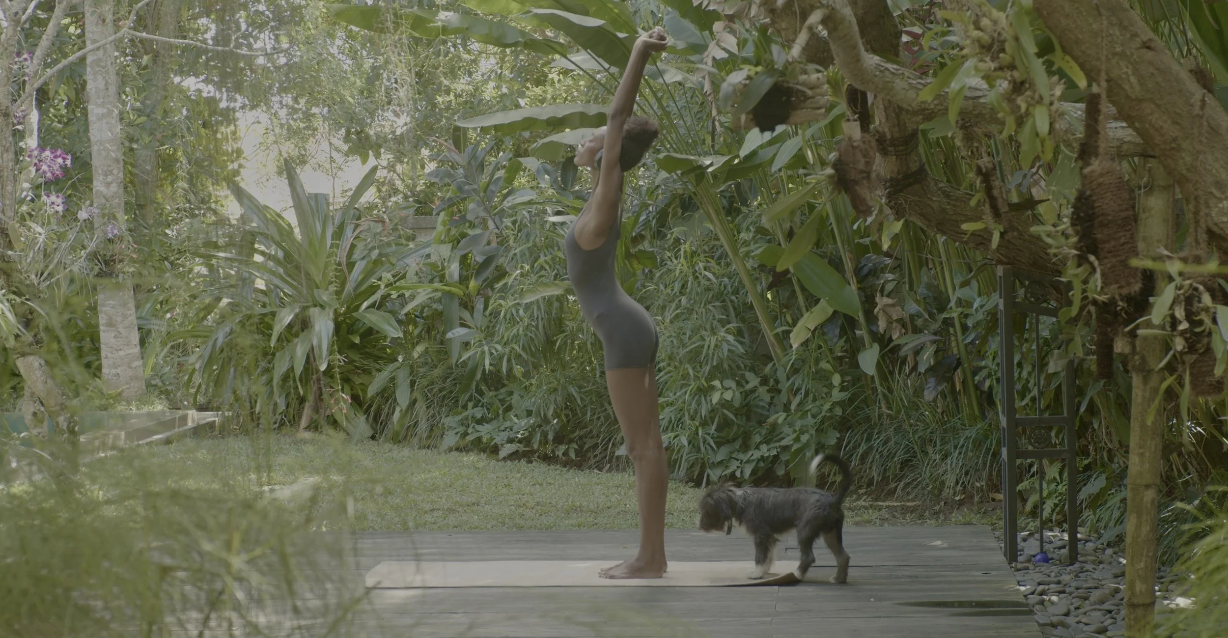 A woman practicing yoga outdoors on a wooden deck, accompanied by a small dog, surrounded by lush green plants and trees.
