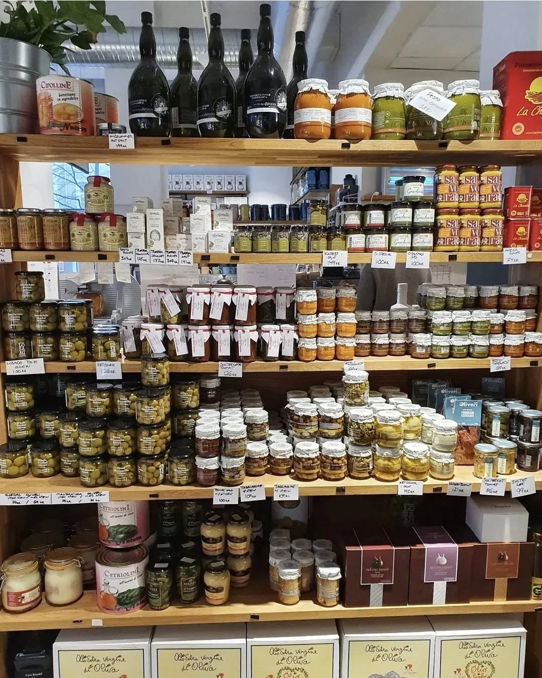 WhatsApp Image 2026-02-24 at 15.19.29.jpeg