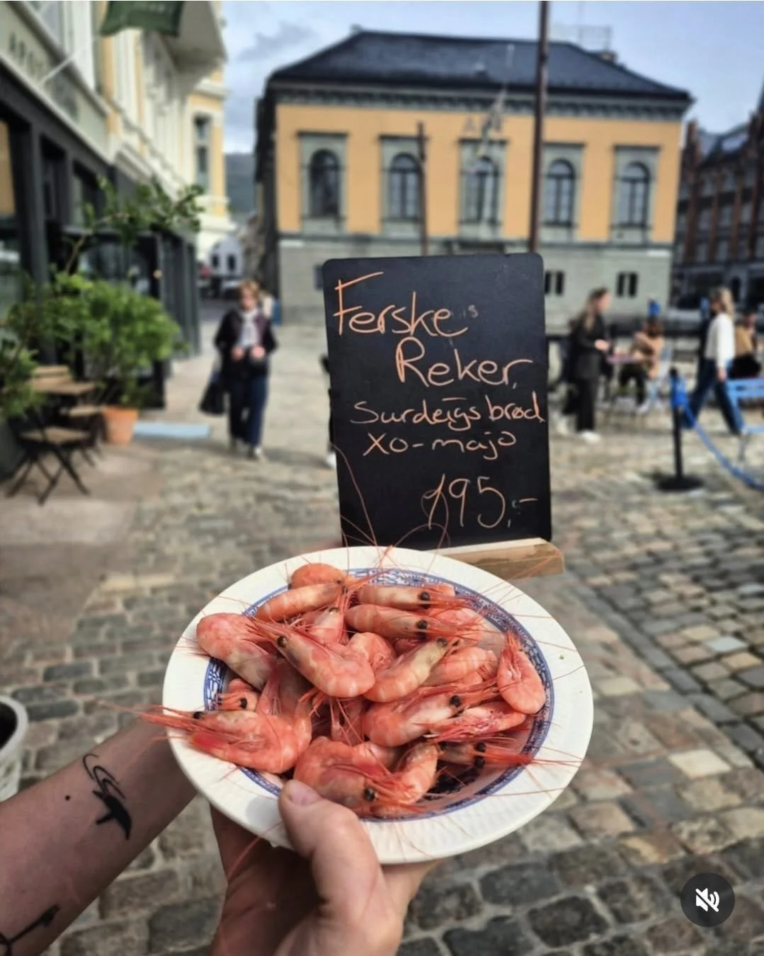 WhatsApp Image 2026-02-24 at 15.03.27 (1).jpeg