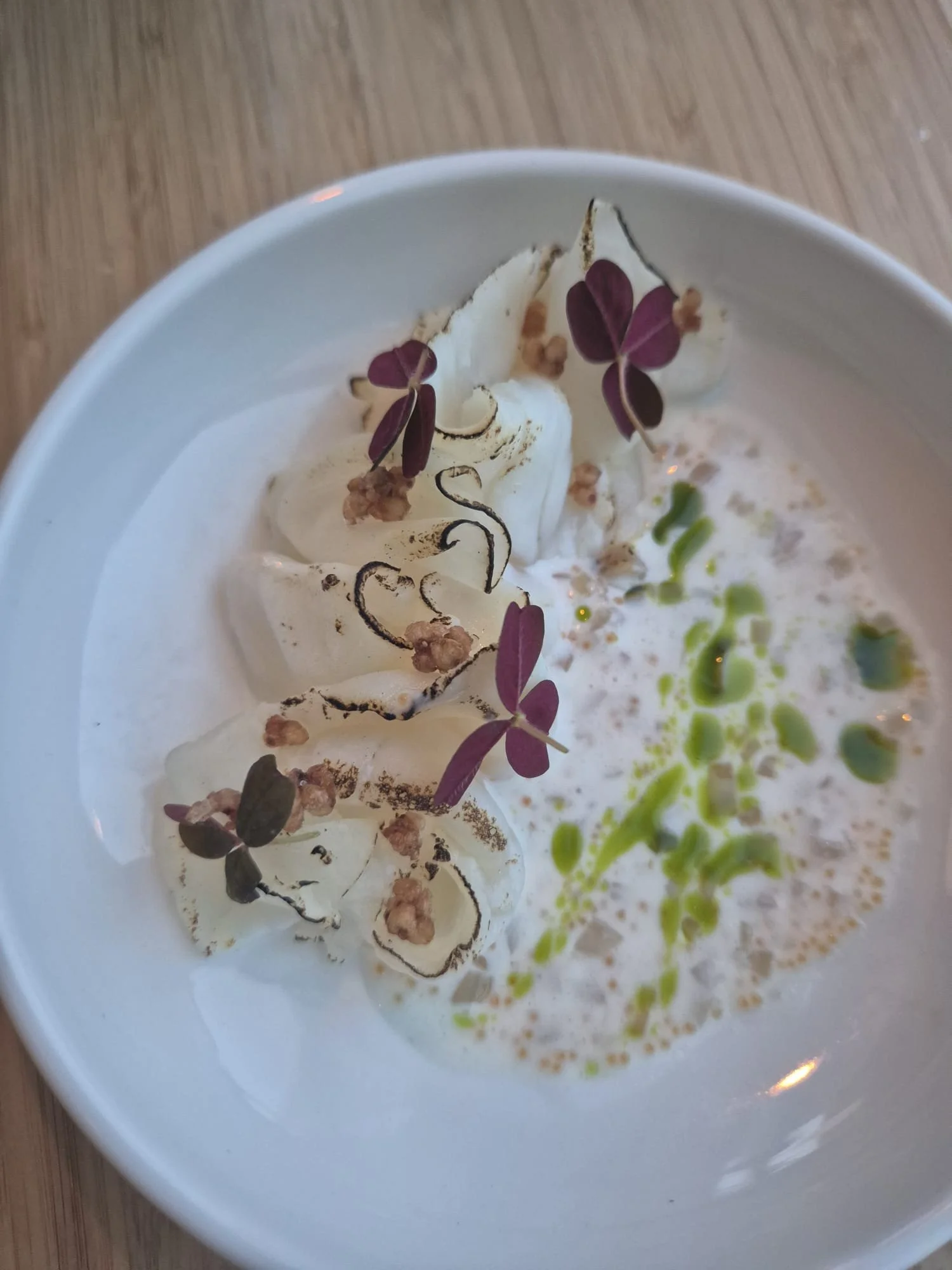 WhatsApp Image 2026-02-04 at 15.49.21.jpeg