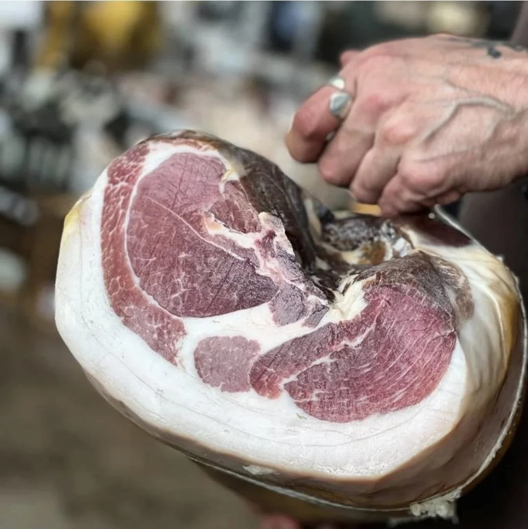 WhatsApp Image 2026-02-24 at 15.19.31.jpeg