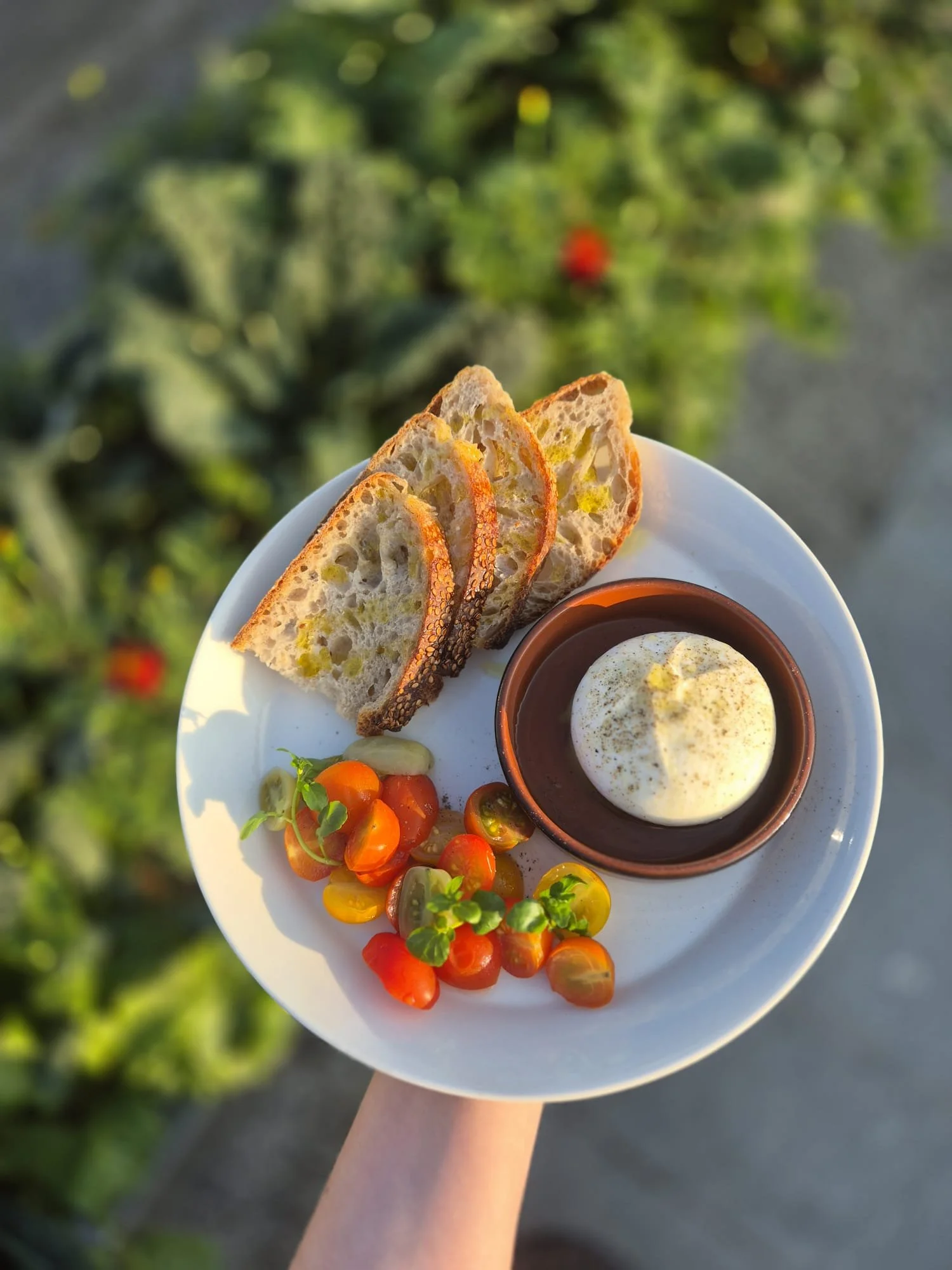 WhatsApp Image 2026-02-19 at 14.37.39.jpeg