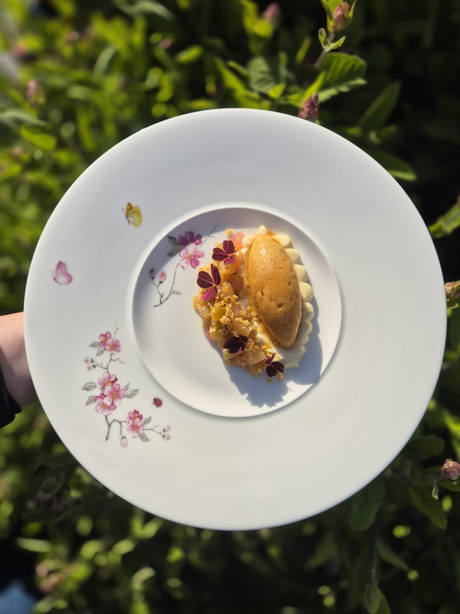 WhatsApp Image 2026-02-19 at 14.37.39jl'.jpeg