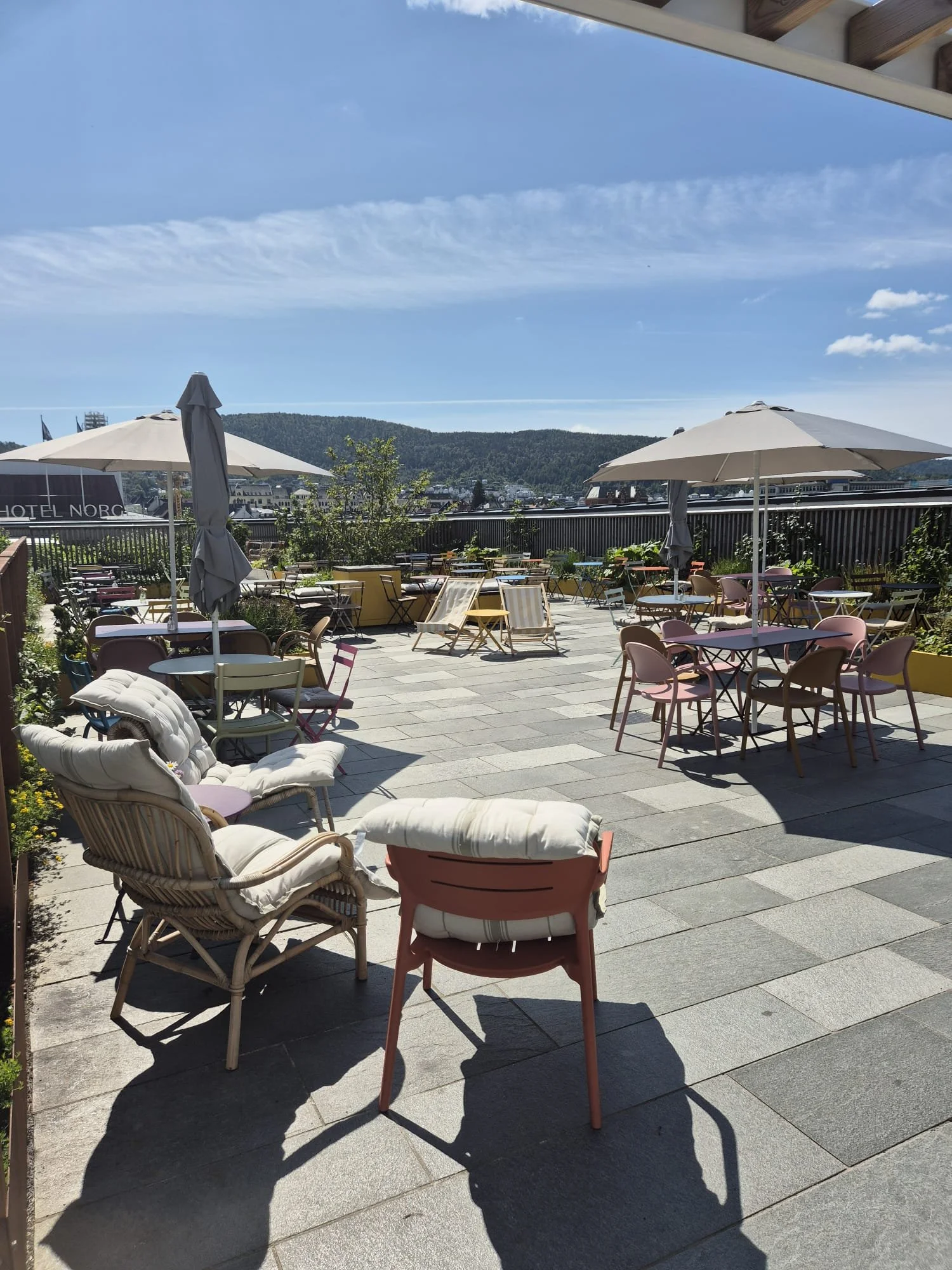 WhatsApp Image 2026-02-19 at 14.37.39dcs.jpeg