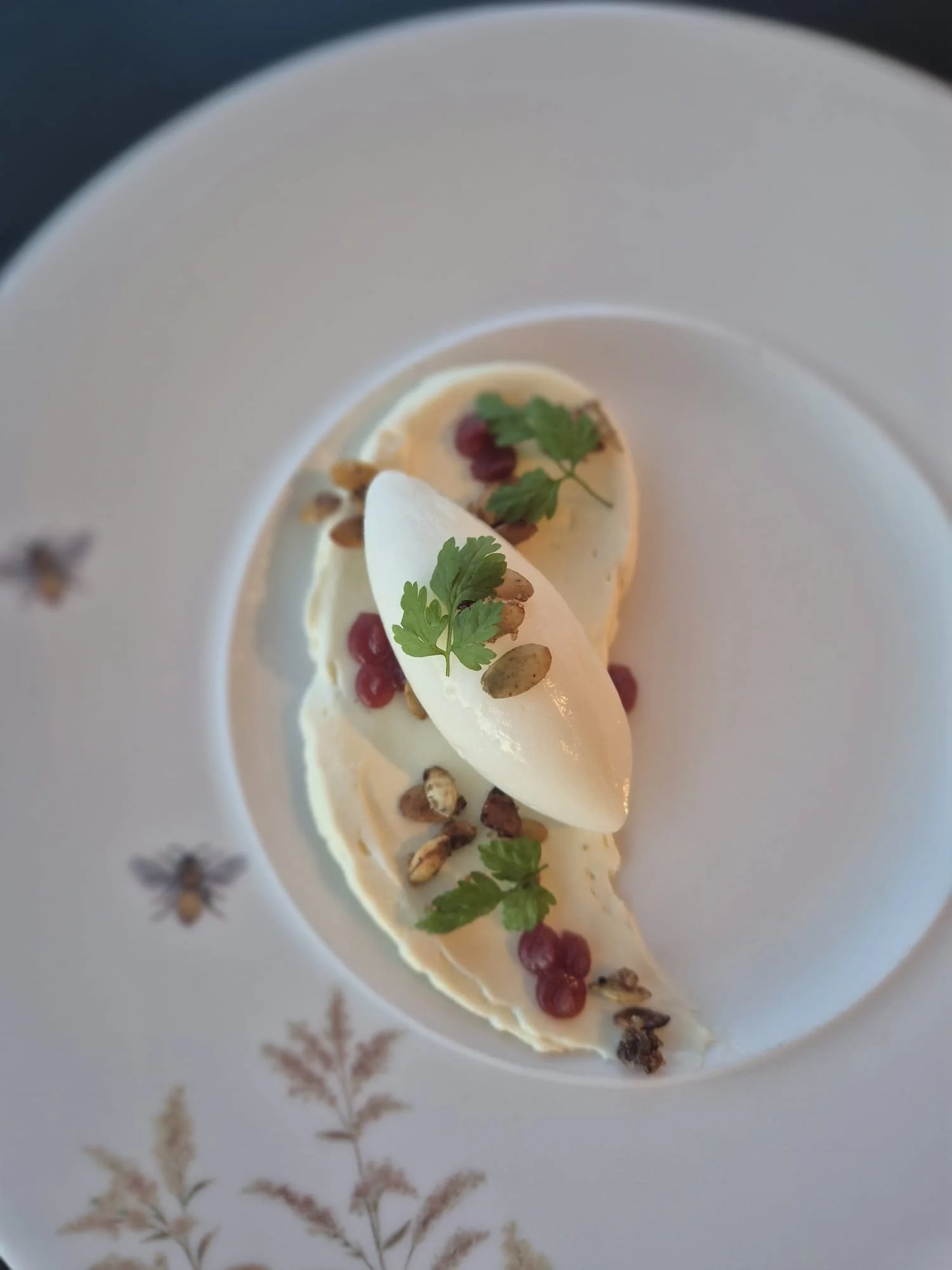 WhatsApp Image 2026-02-04 at 15.49.22pp.jpeg