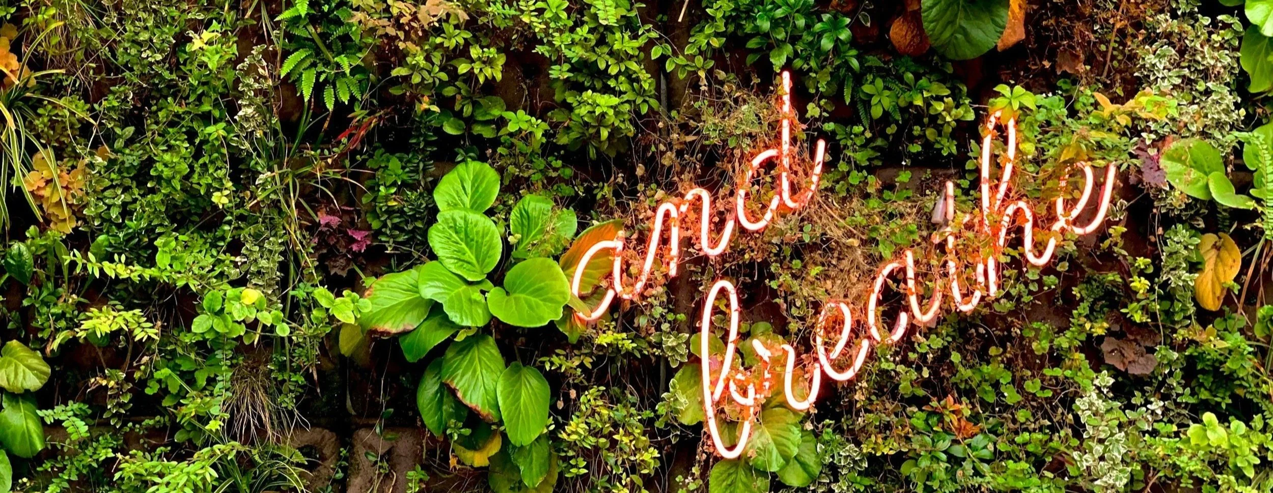 Neon-Schriftzug auf einer Wand aus Pflanzen mit der Aufschrift 'Plant Talk'